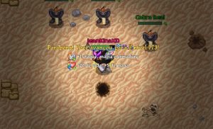 Kakele Online: Tudo sobre a Classe Guerreiro (Quina) e Estratégias